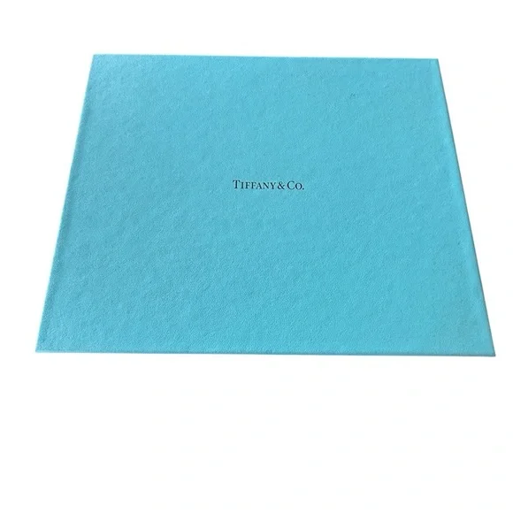 Tiffany & Co. Blue 2010 planner with box never used nostalgia luxury - Picture 2 of 11